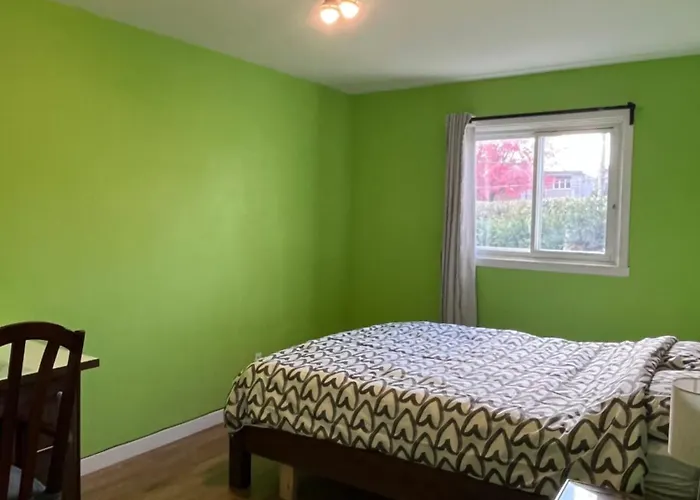 New Renovated Peaceful Apartment With Parking
